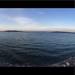 Meet your Posher, Natasha